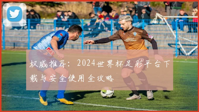 权威推荐：2024世界杯足彩平台下载与安全使用全攻略