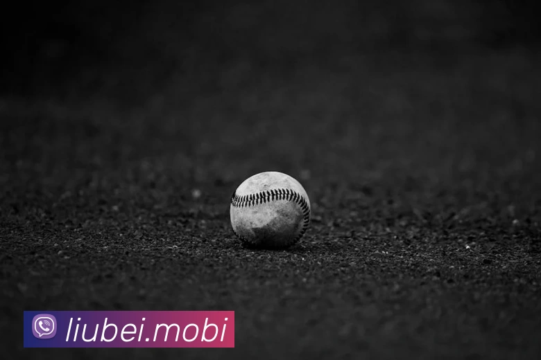 云开体育app官网入口登录网页版服务体系